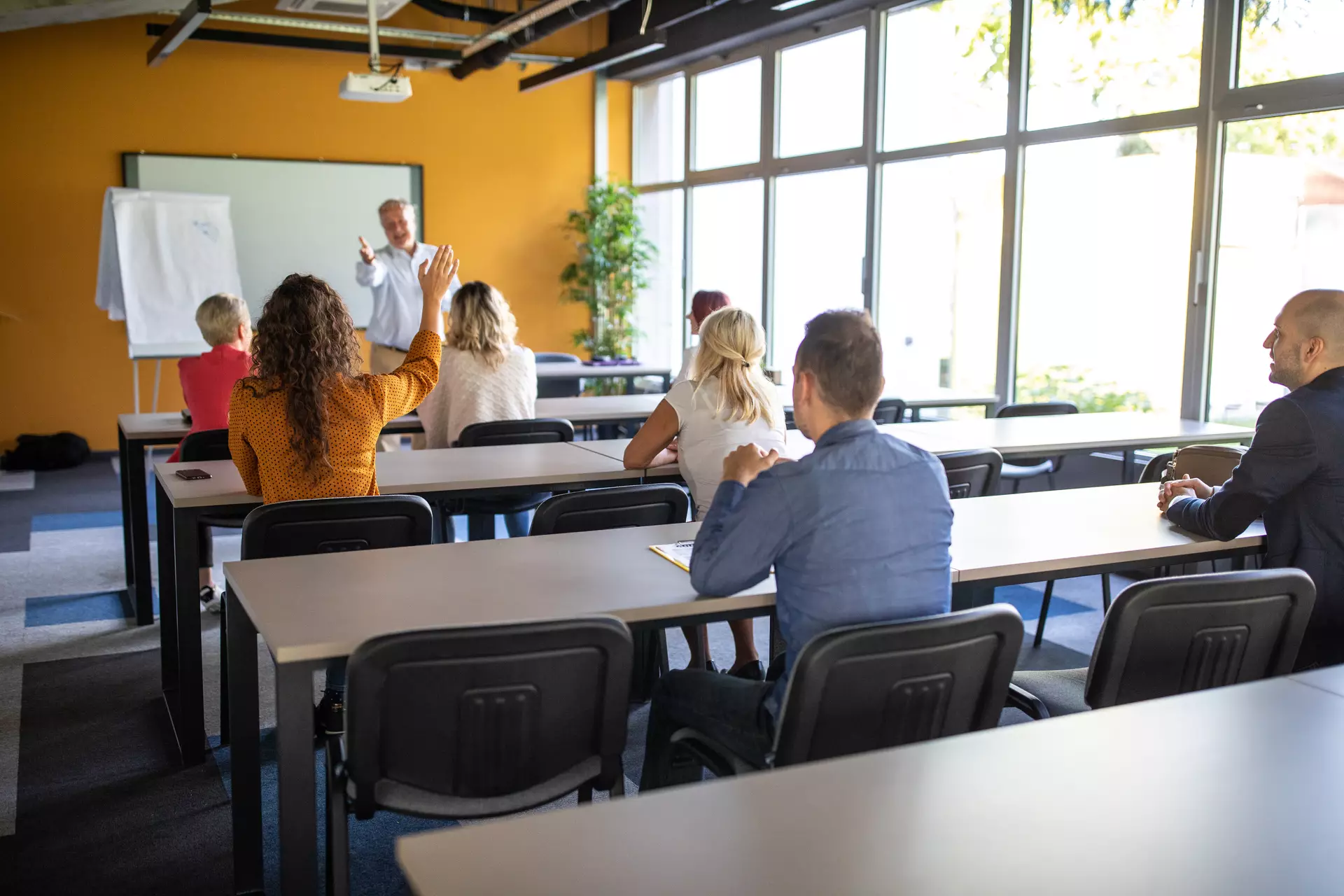 Professeur donnant une formation.