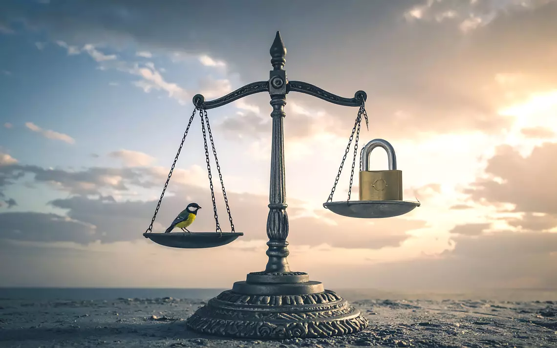 Une balance avec sur un plateau une mésange et sur l'autre un cadenas illustrant ainsi l'équilibre entre responsabilité et liberté