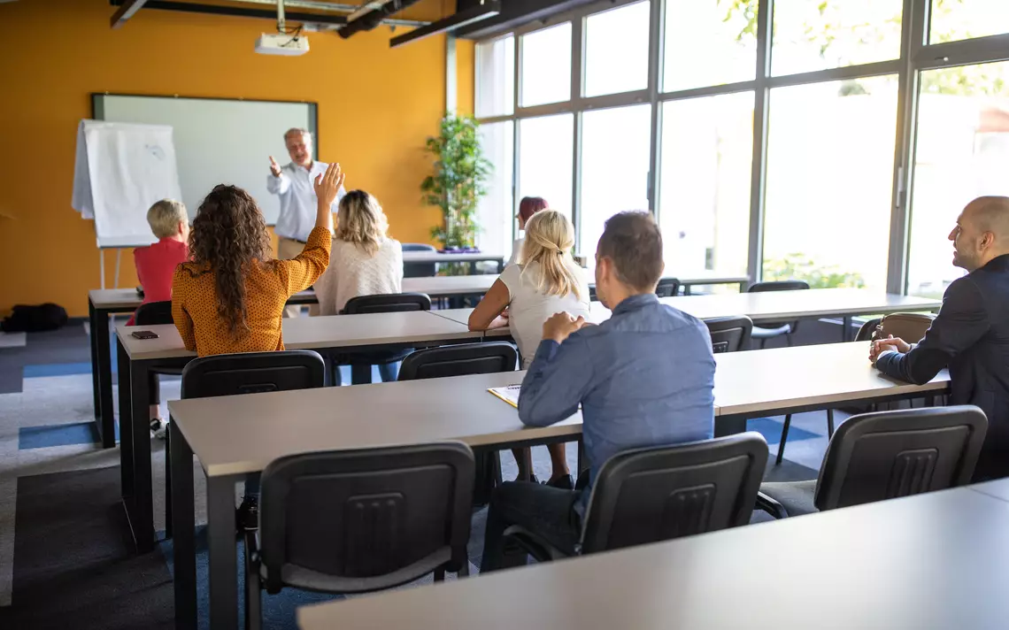 Professeur donnant une formation.